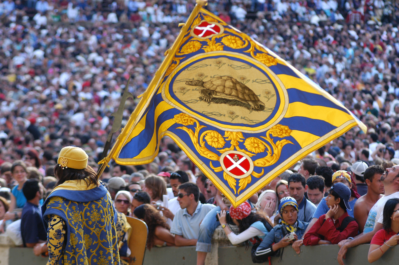 Palio - Gallery Image #248